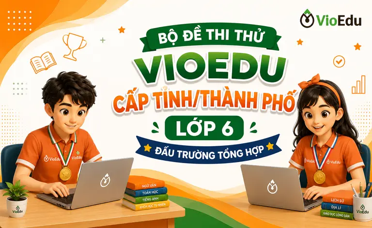 Vioedu - Lớp 6 - Cấp Tỉnh/Thành phố