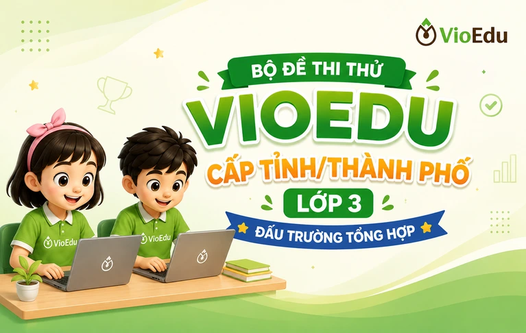 Vioedu - Lớp 3 - Cấp Tỉnh/Thành phố